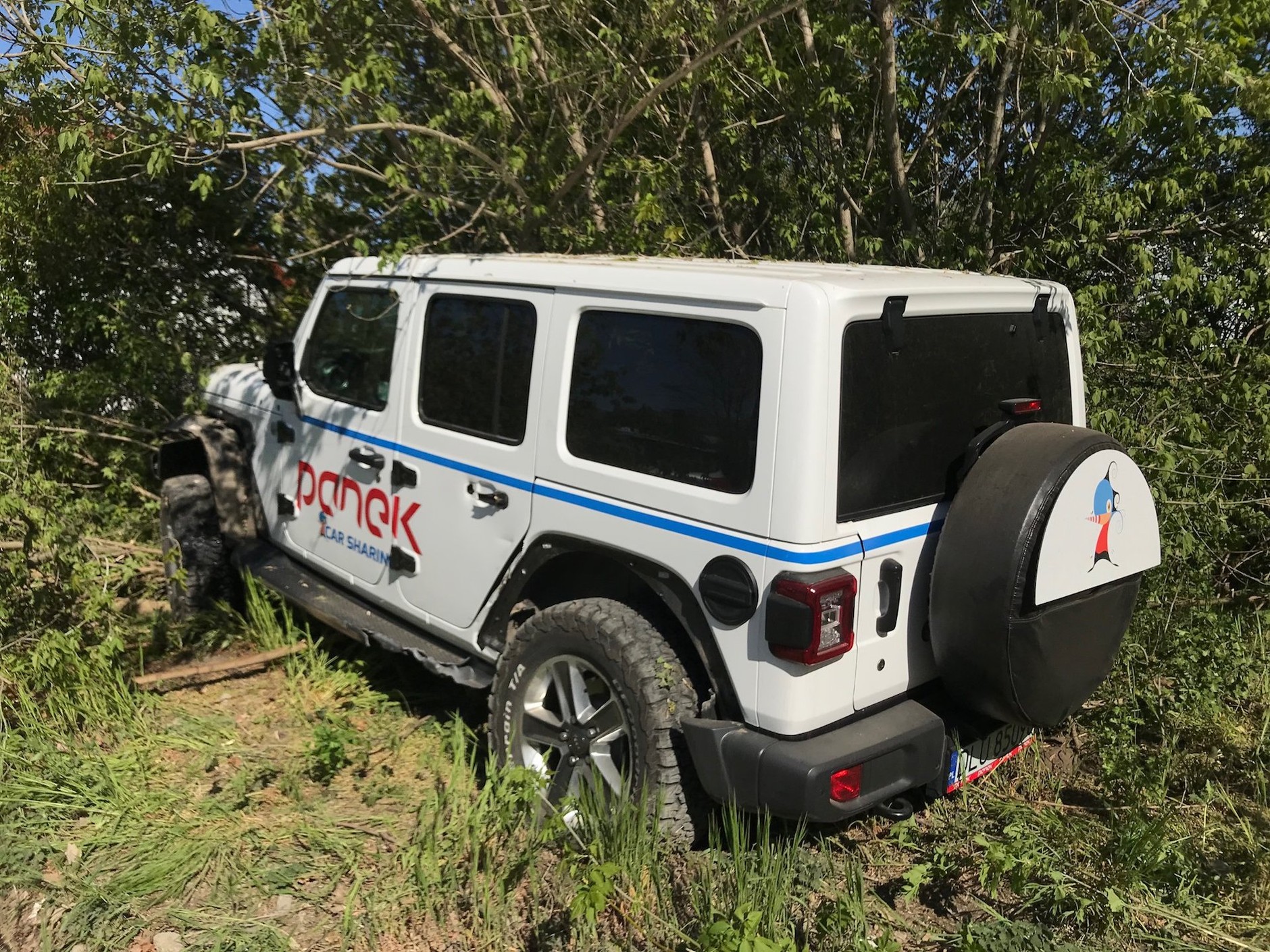 Jeep Wrangler Panek CarSharing