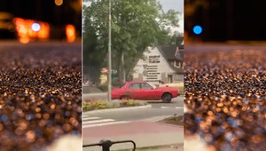 Polak za podobny "wyczyn" dostał ponad 10 razy większą karę
