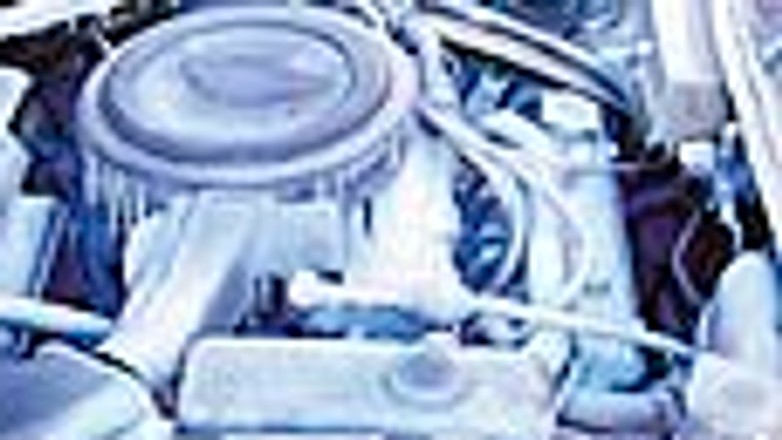 Dobry płyn na mroźne dni