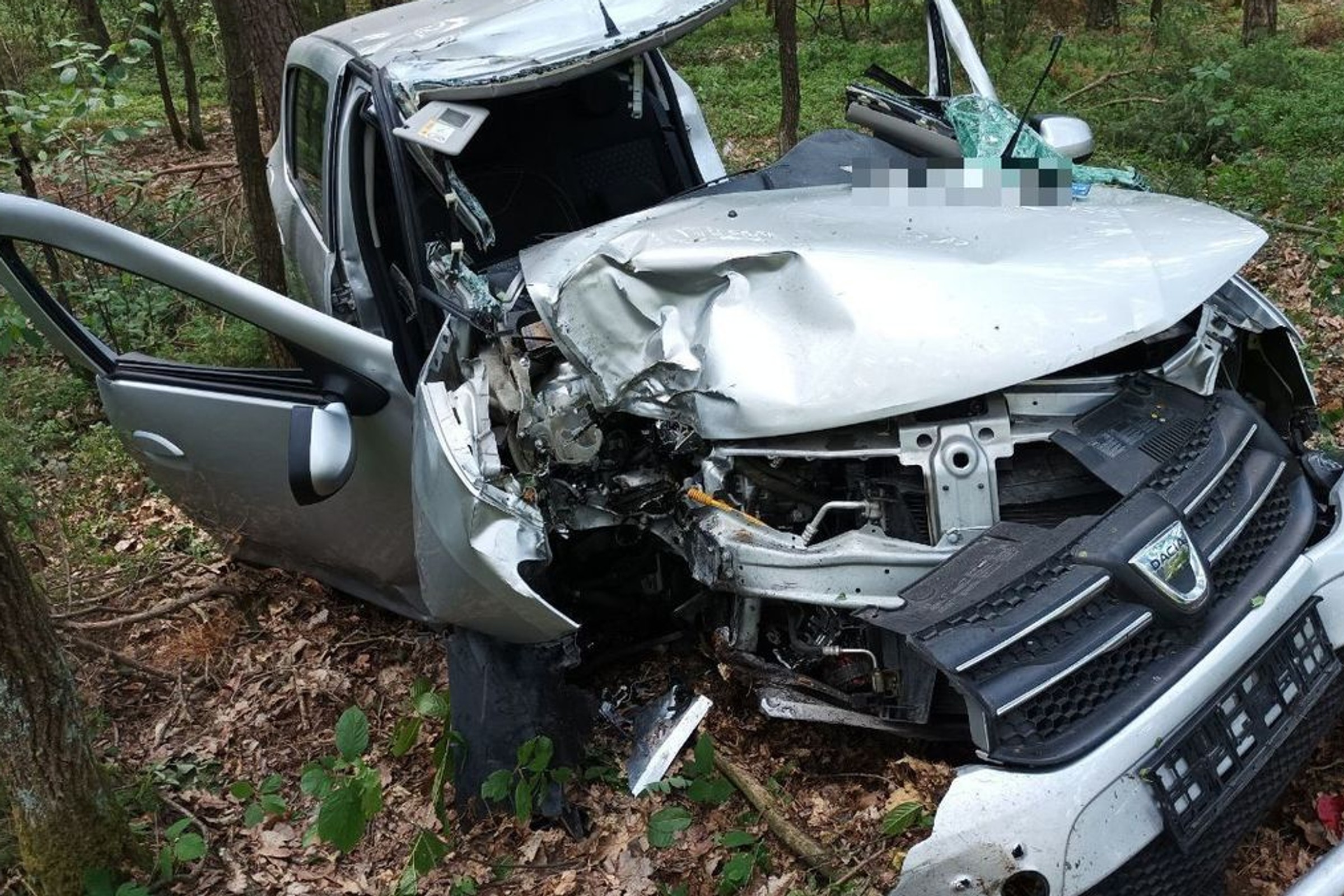 Policja apeluje o ostrożność w pobliżu pól i lasów. Stado jeleni biegało tuż przy drodze
