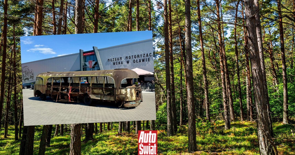 Sensacyjne odkrycie w lesie. Polski autobus Bałtyk odnaleziony po 60 latach