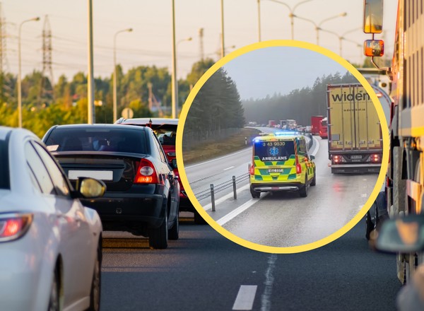Polak pokazał kadr z drogi w Szwecji. "20 lat za kierownicą i pierwszy raz spotykam się z sytuacją"