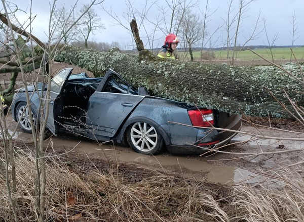 Wichury nad Polską. Będzie wiać nawet 100 km na godz. Wiele interwencji