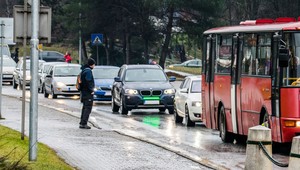 Dodatkowe zielone światło na aucie może stać się obowiązkowe. UE jest zainteresowana