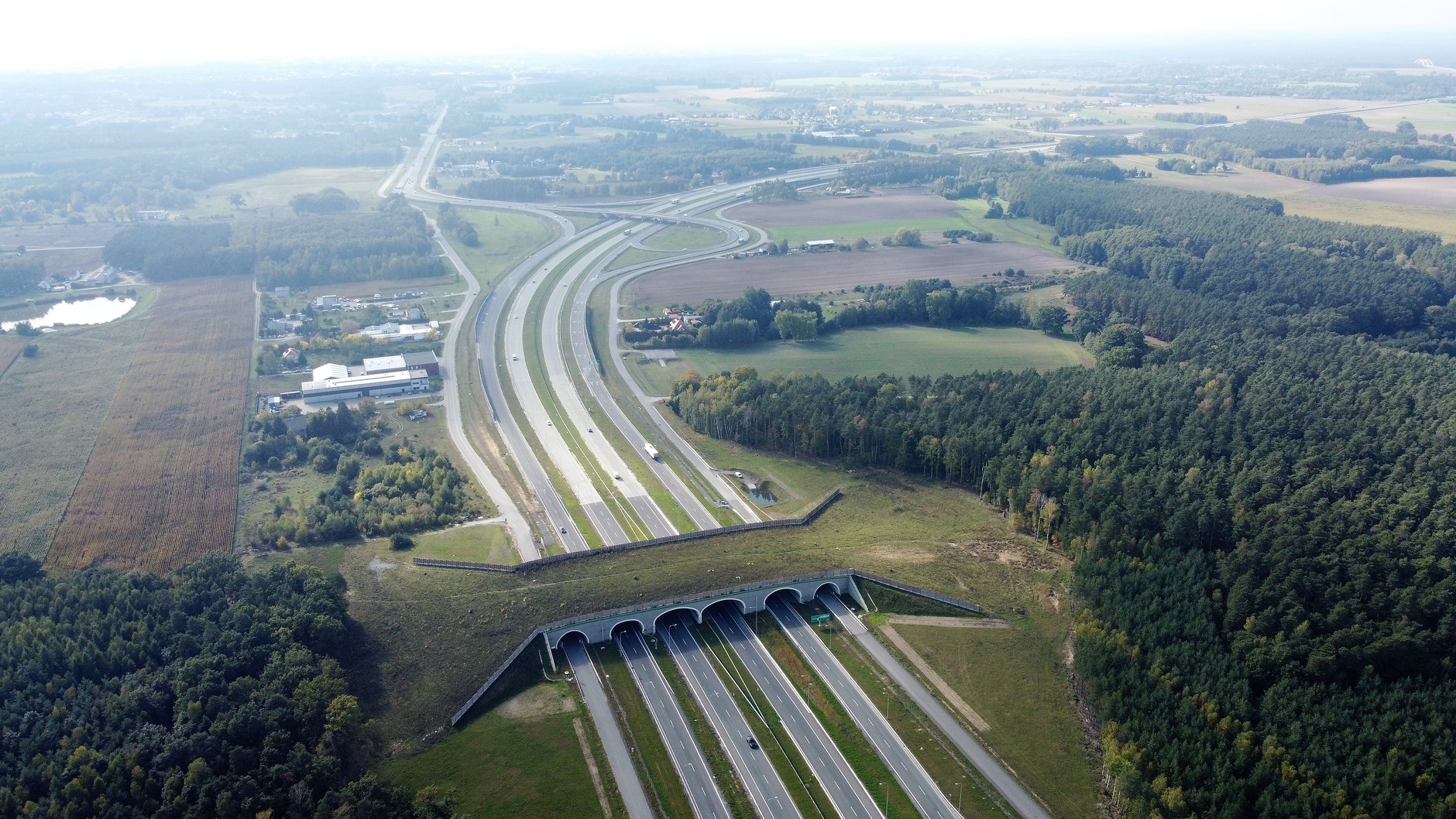 Przejście dla zwierząt nad drogą ekspresową S5 w woj. kujawsko-pomorskim
