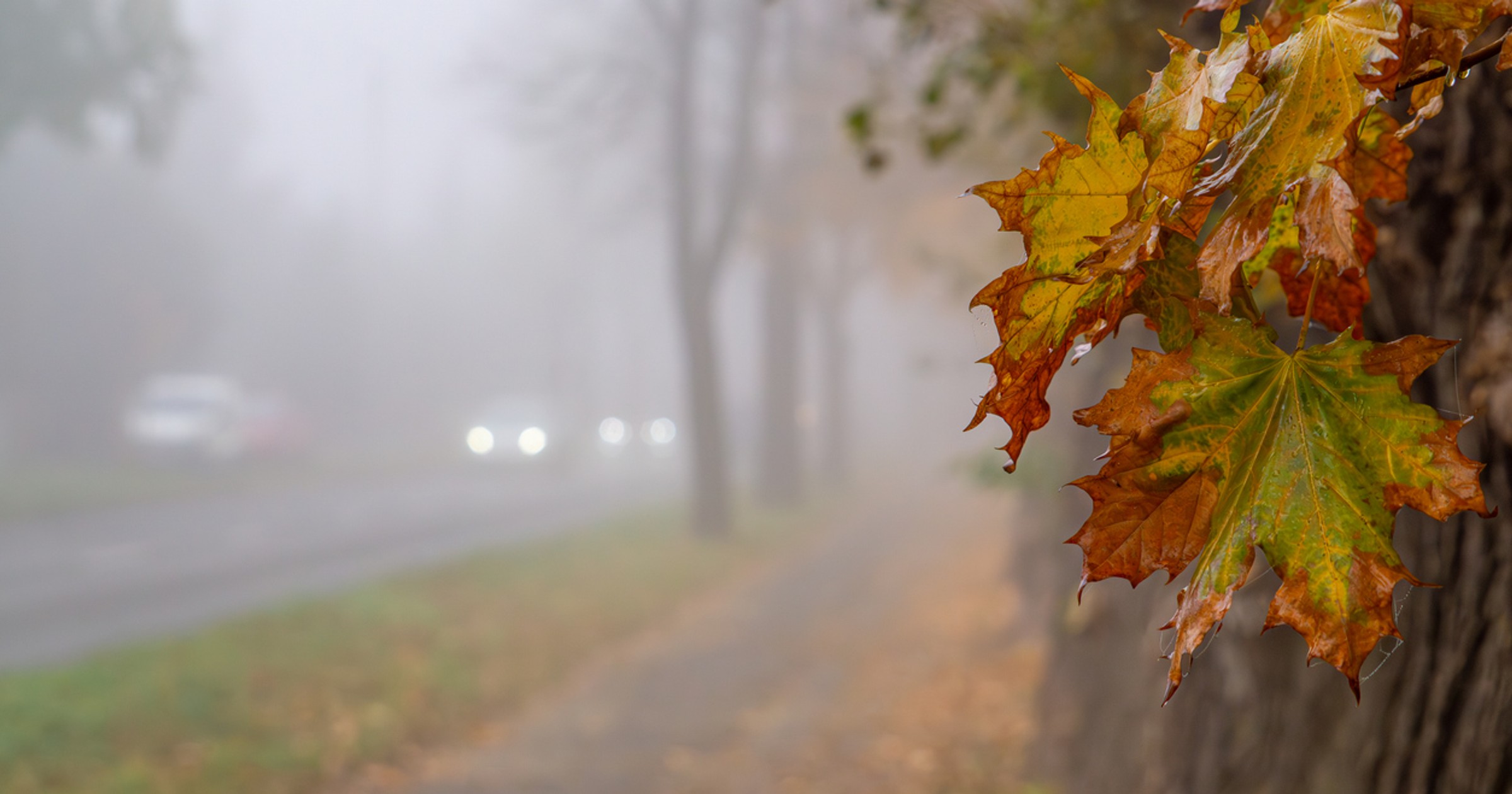 Bezpieczeństwo jesienią na drodze. Jak poprawić widoczność w aucie?