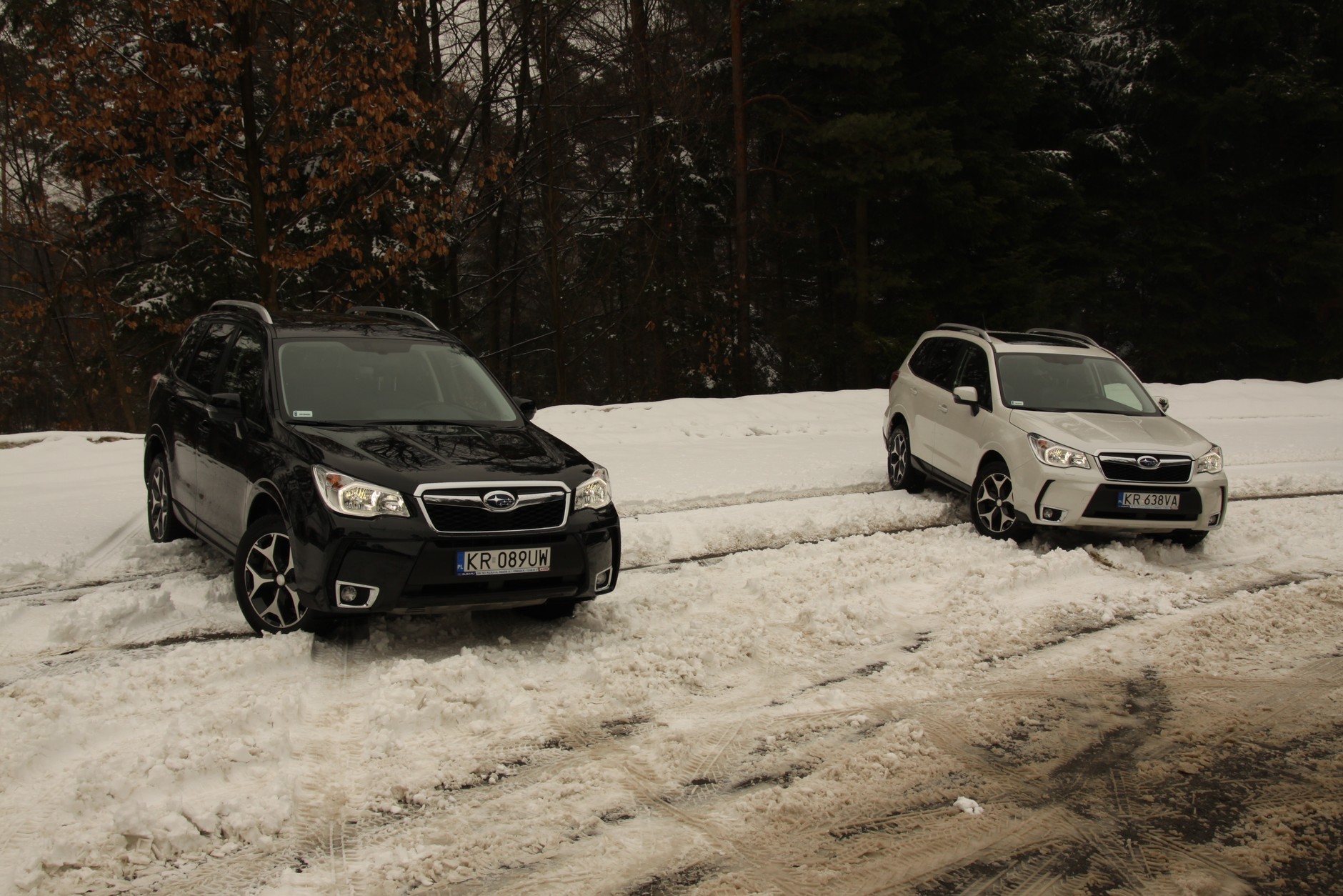 Subaru Forester - polska premiera