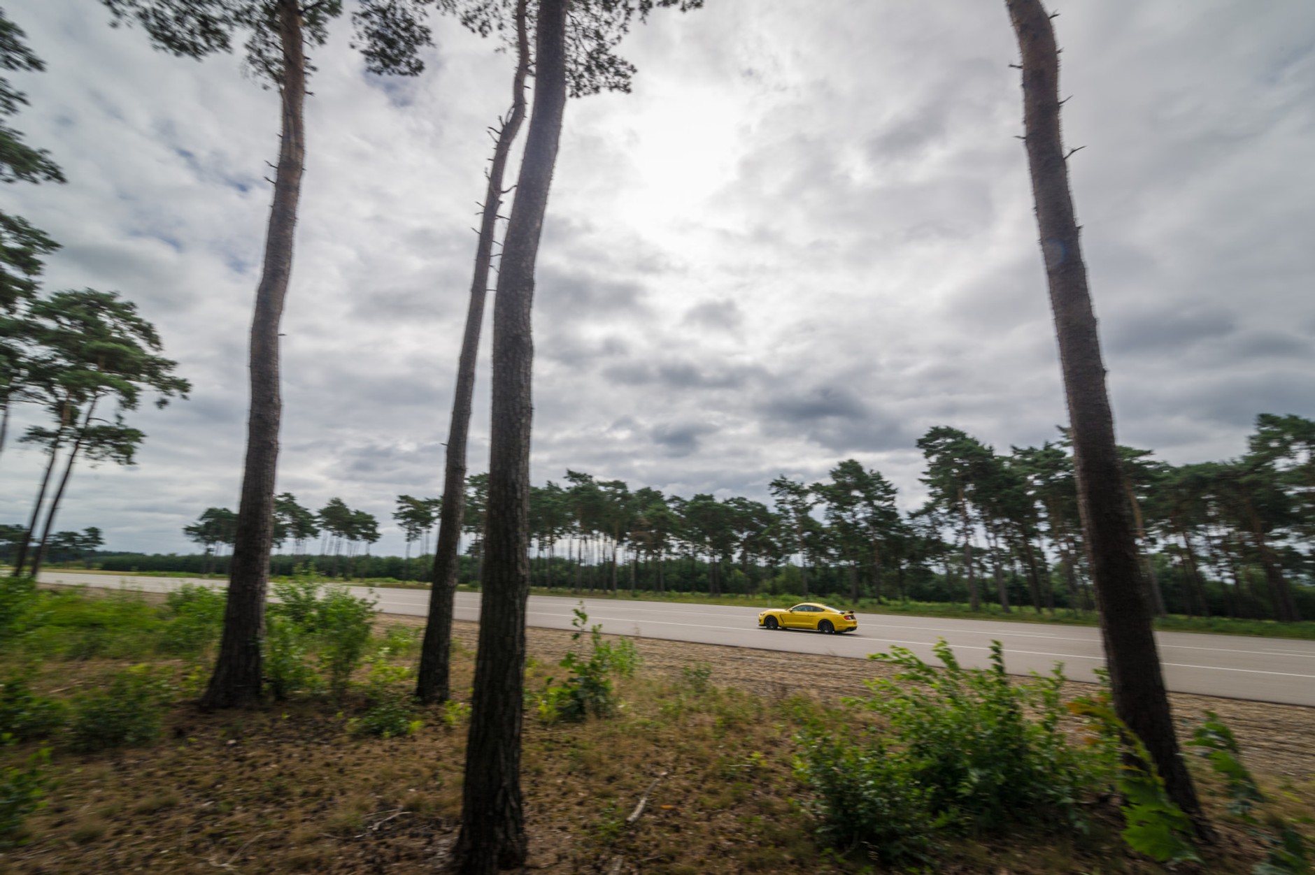 Ford Mustang Shelby GT350R
