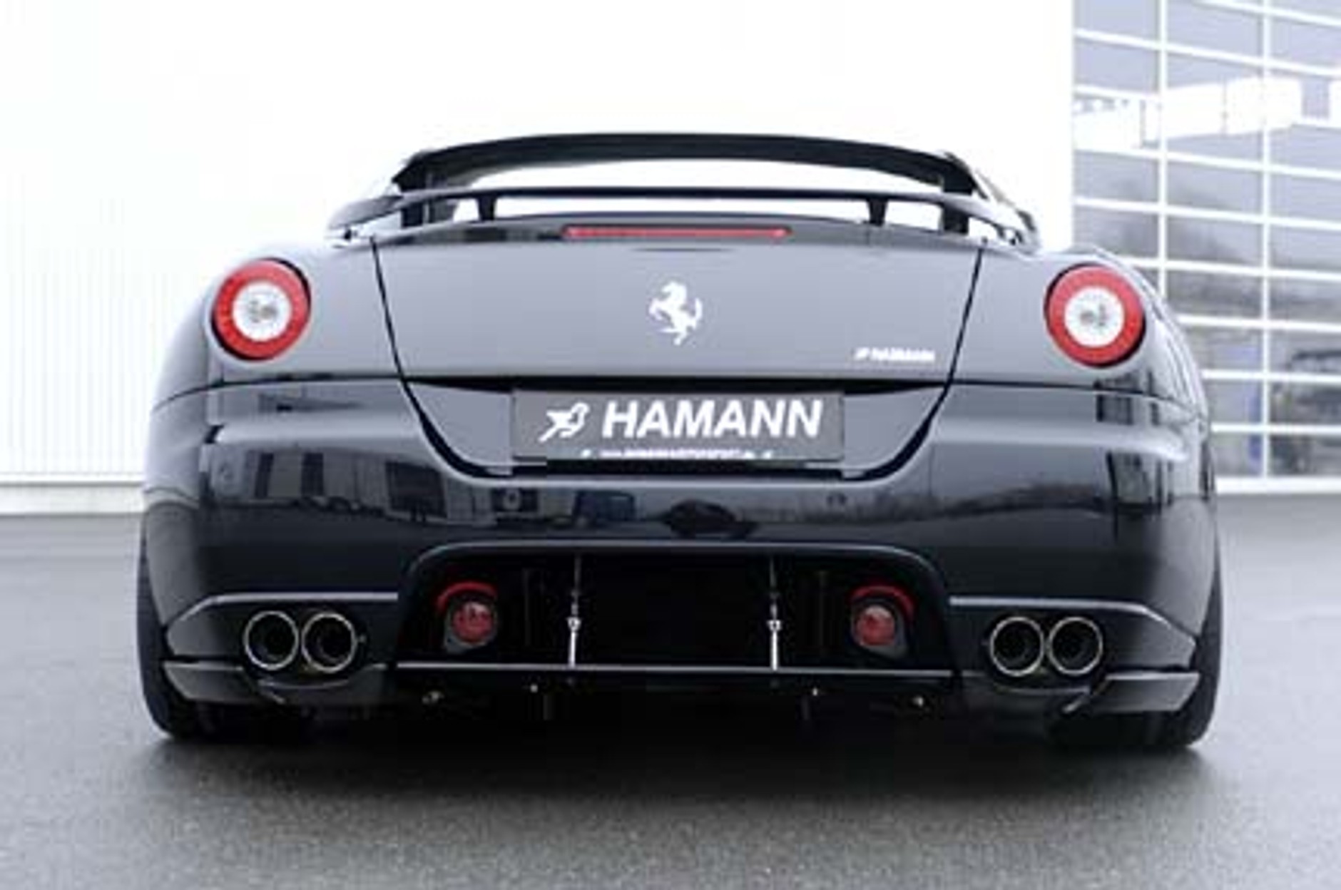 Hamann 599 GTB: stado dzikich mustangów