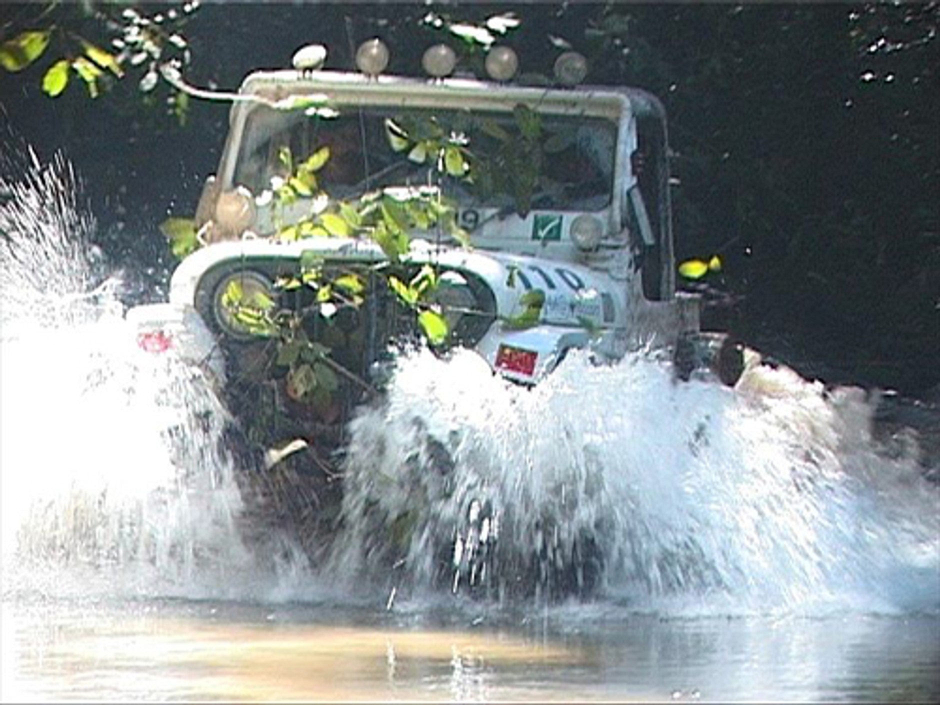 Rainforest Challenge