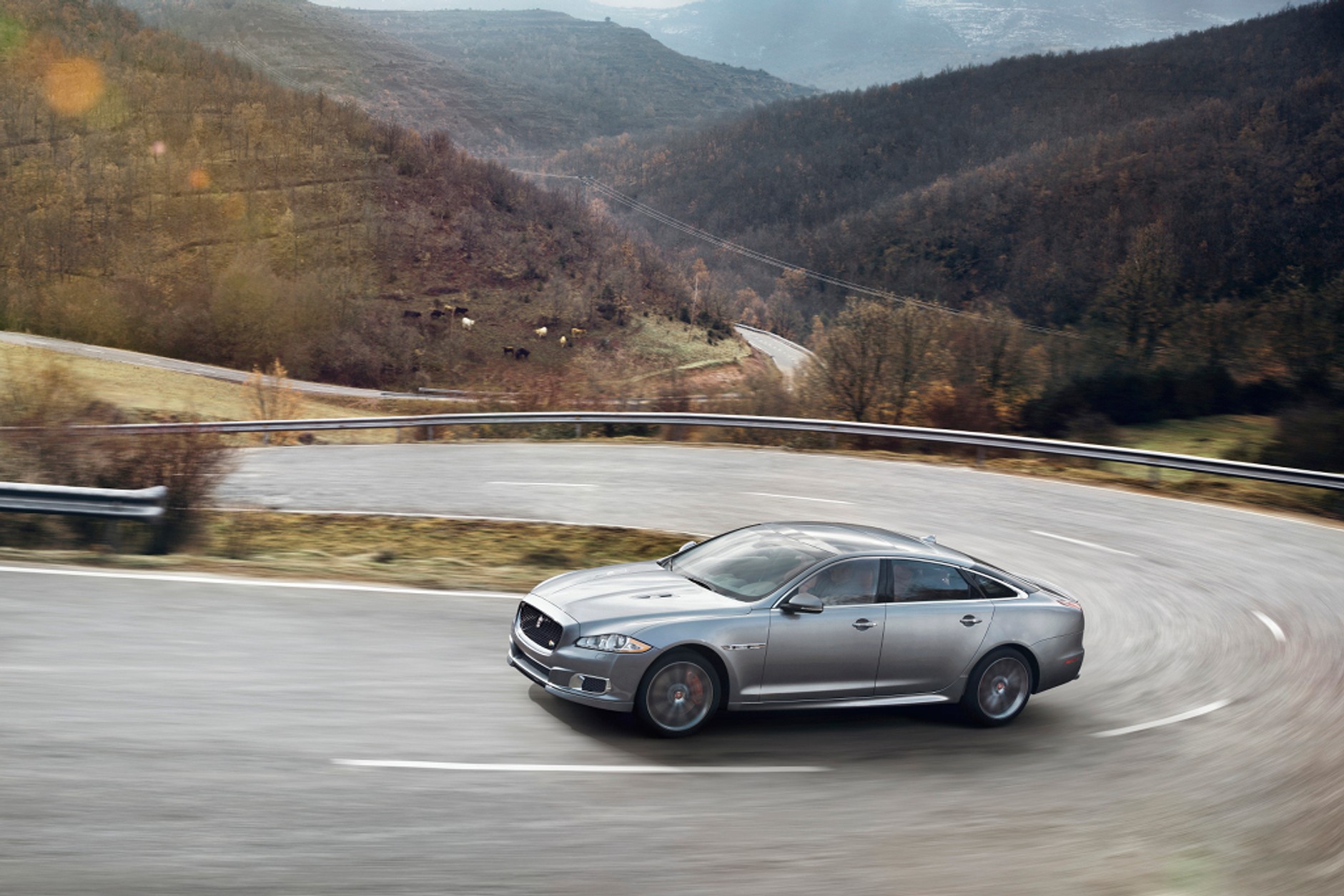 Jaguar XJR: ostry kocur