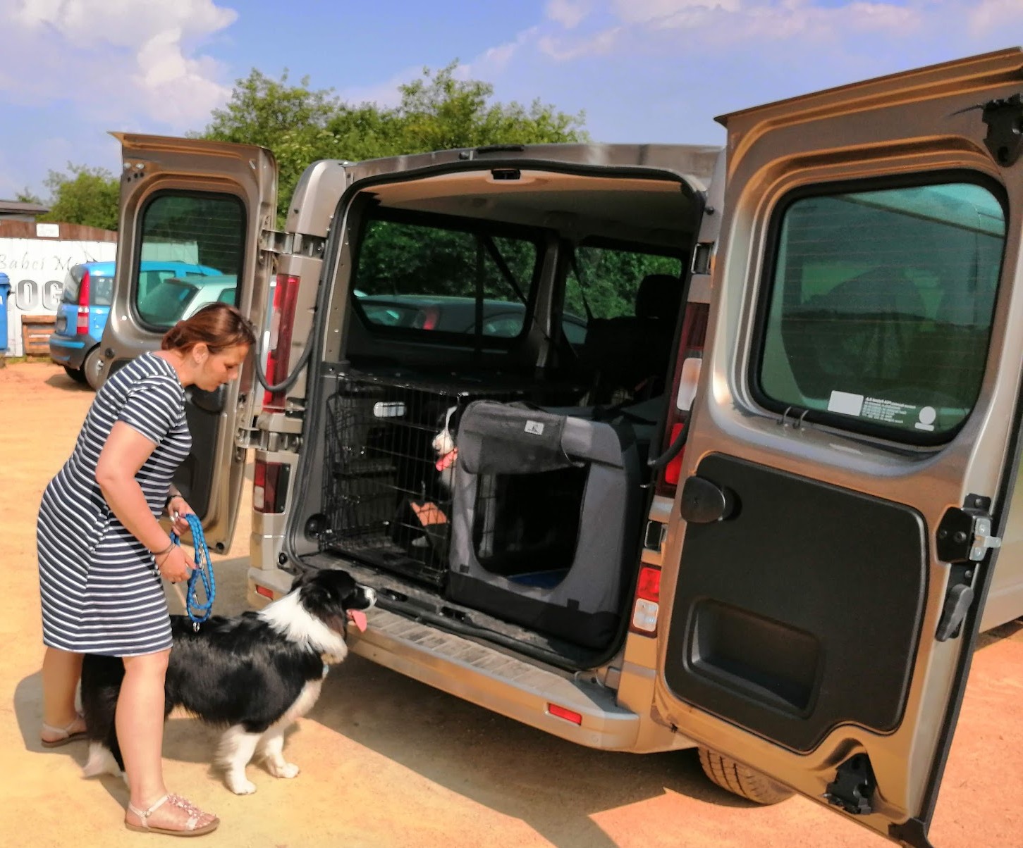 W wielu krajach przewożenie psa luzem w aucie, bez klatki albo szelek wpinanych w pasy, grozi wysokimi karami.