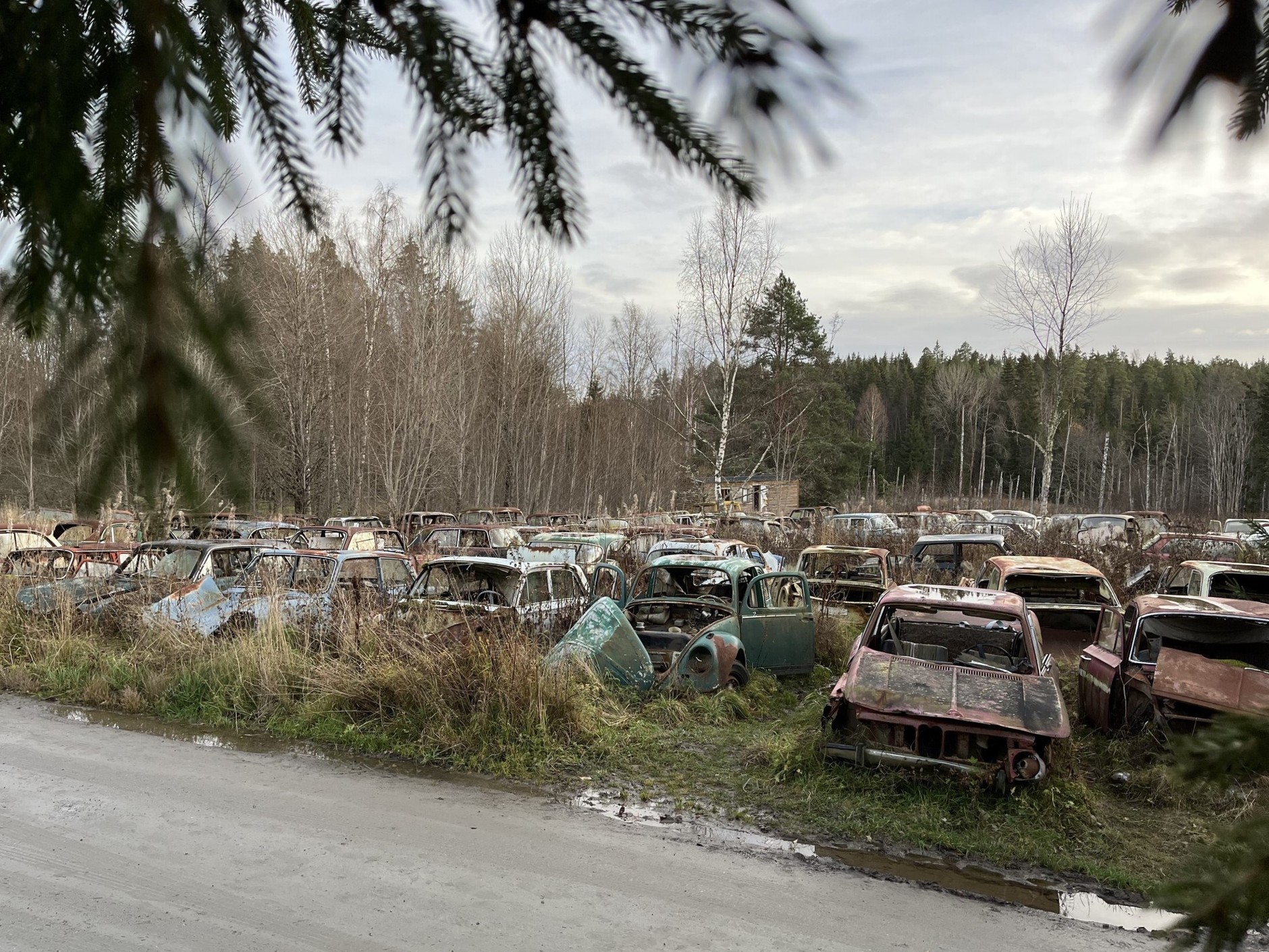 Cmentarzysko samochodów w Bastnas w Szwecji