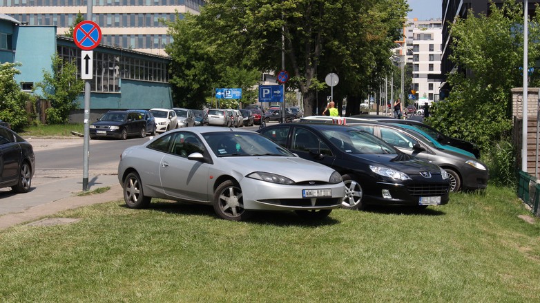 Parkowanie na trawniku