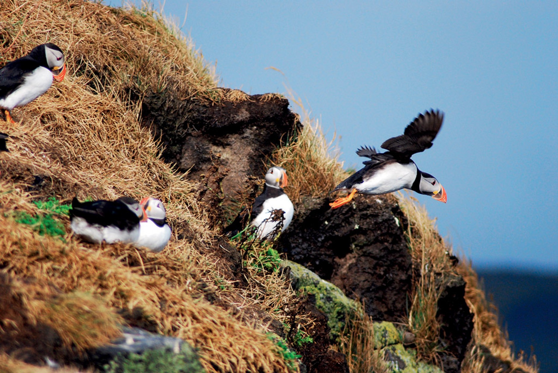 Turystyka off-road: gdzie warto wyjechać, Skandynawia i Islandia