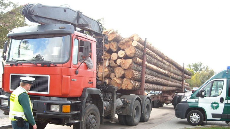 Bezpieczne wakacje z ITD: Zagrożenie klasy XXXL