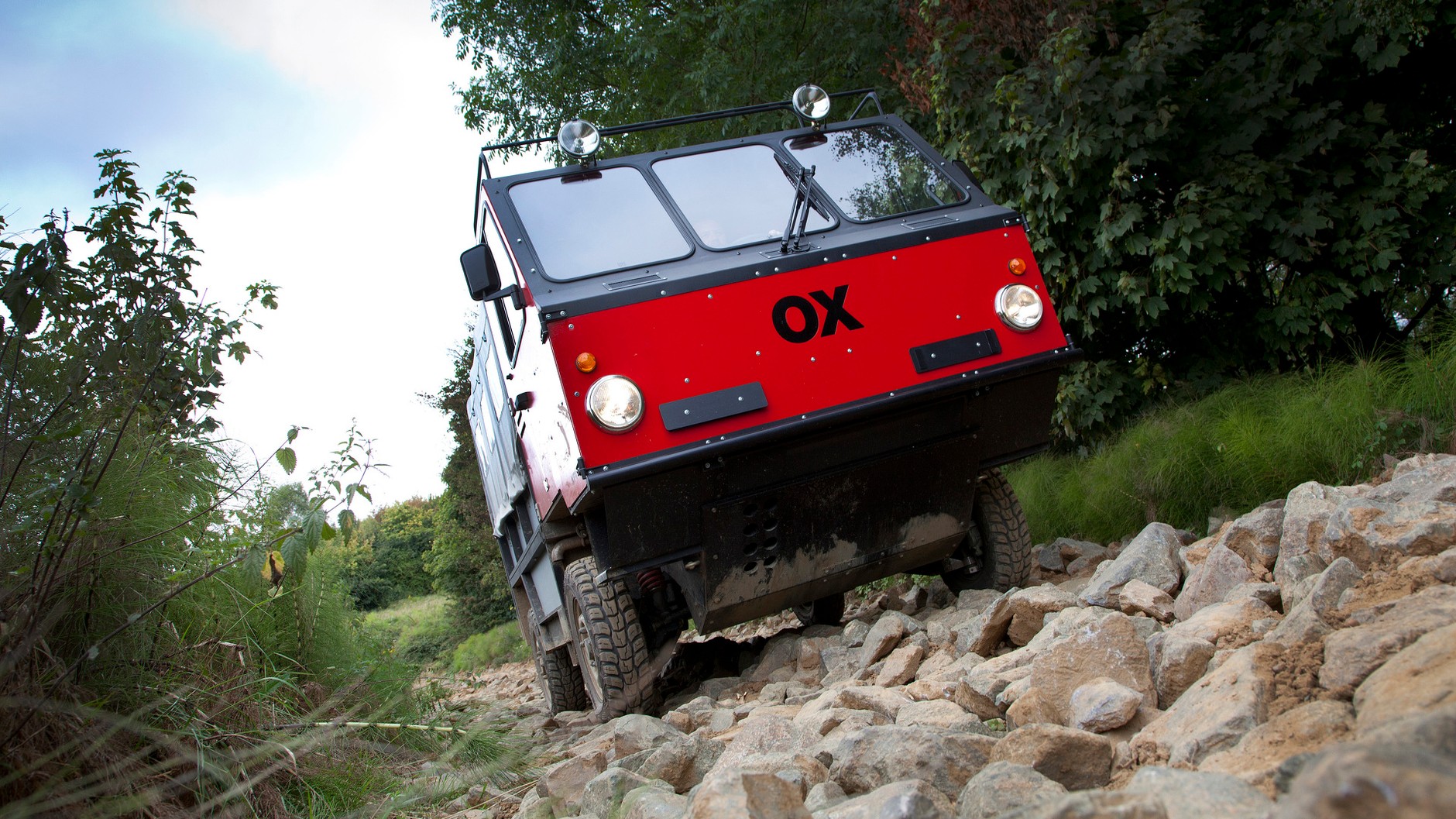GVT Ox