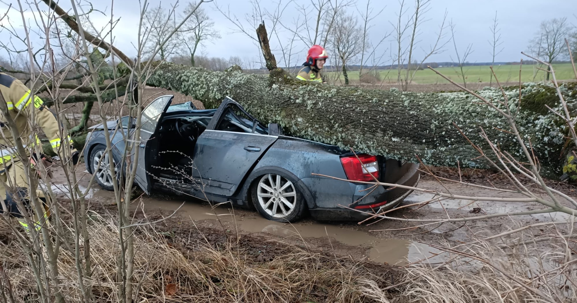 Już ponad 650 interwencji strażaków w związku z silnie wiejącym wiatrem na Warmii i Mazurach