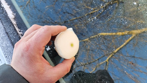 Smarowanie szyb cebulą, to metoda stosowana np. w Ukrainie. Dzięki temu lód ma nie przywierać mocno do szkła