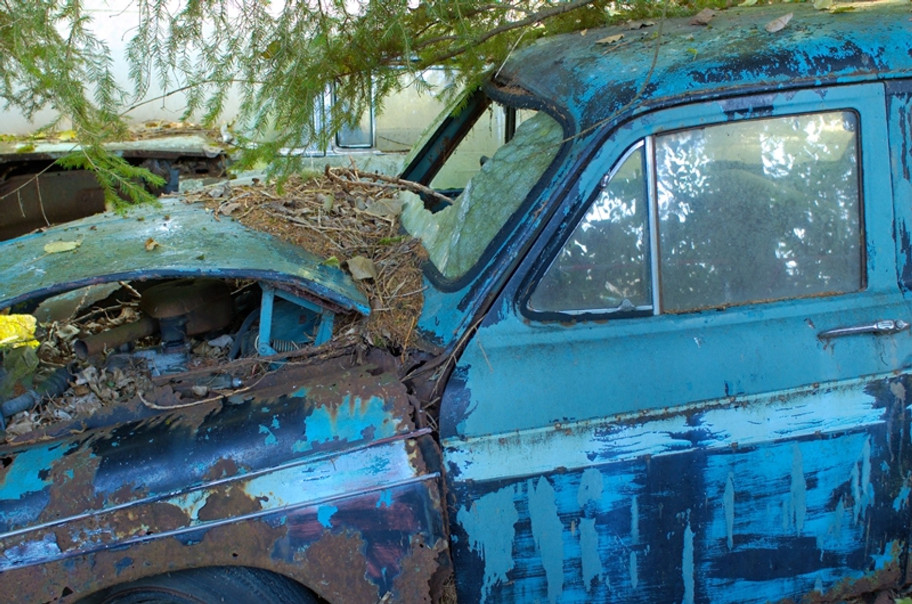 Najpiękniejsze złomowisko świata