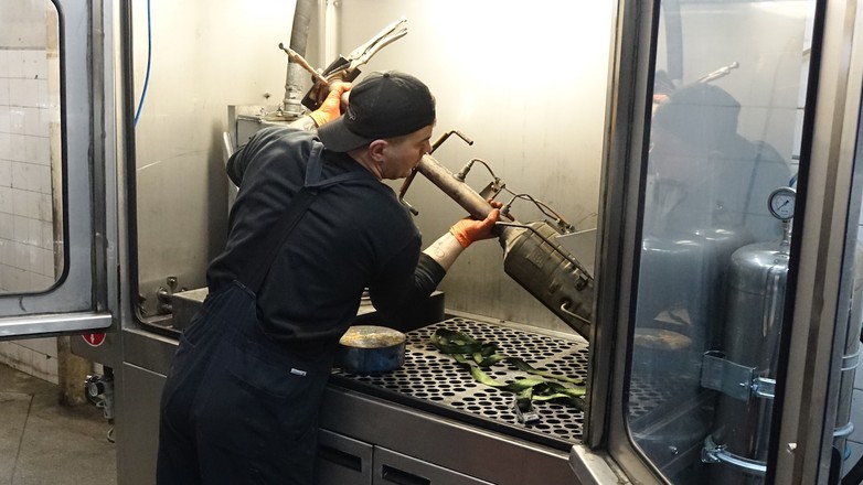 Regeneracja filtra DPF krok po kroku