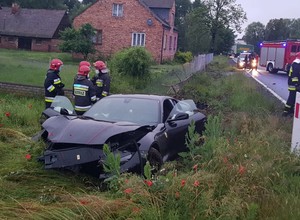 Ferrari wylądowało w rowie, bo kierowca chciał ominąć... psa
