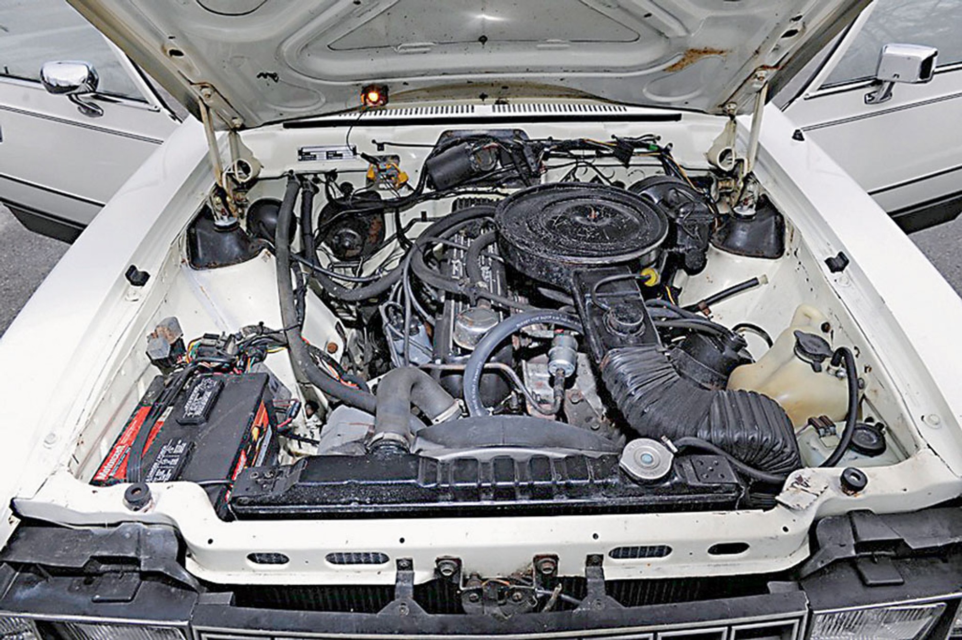 AMC Eagle Wagon- Pluszowy byczek