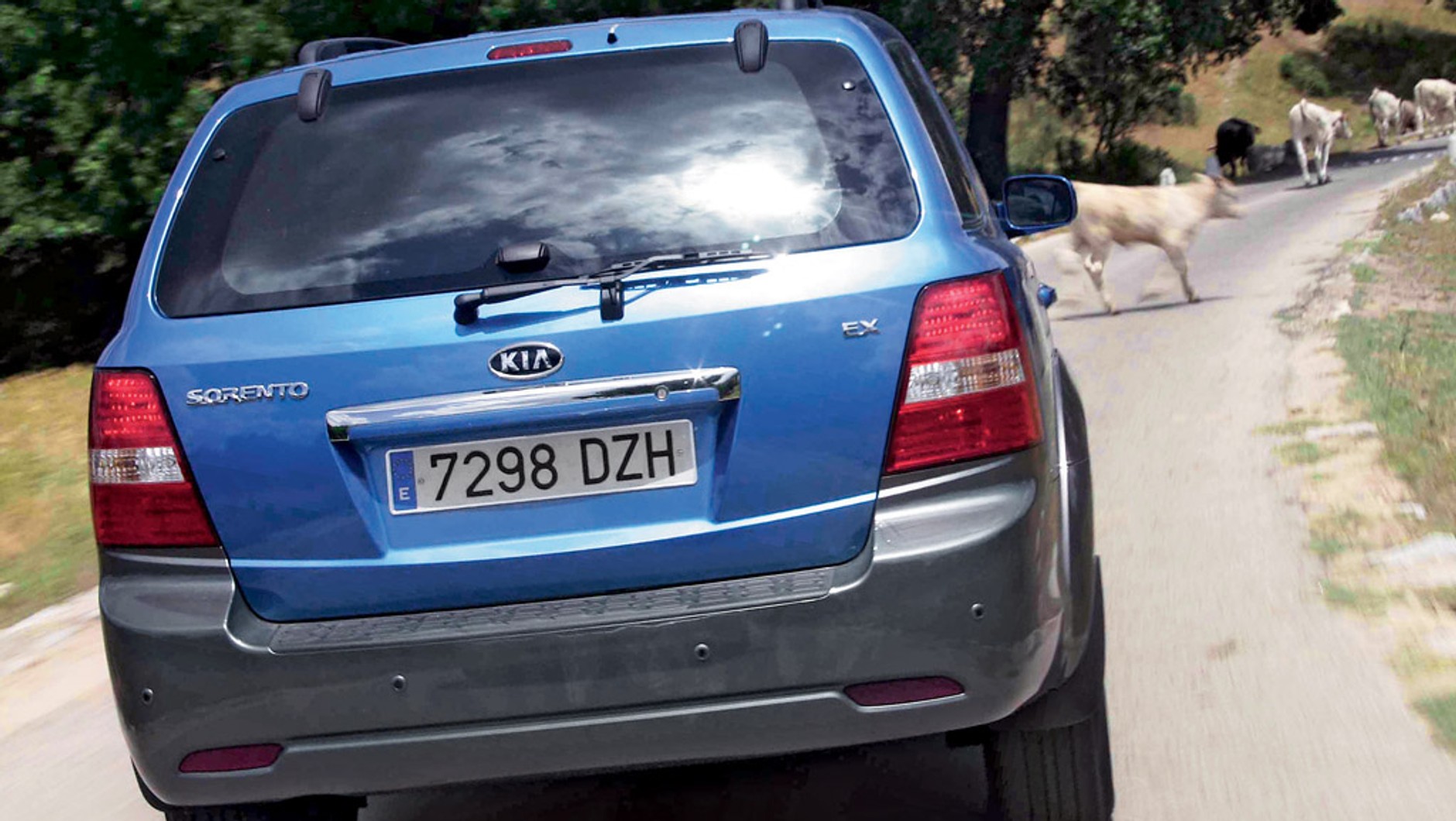 Kia Sorento: terenówka nie dla każdego