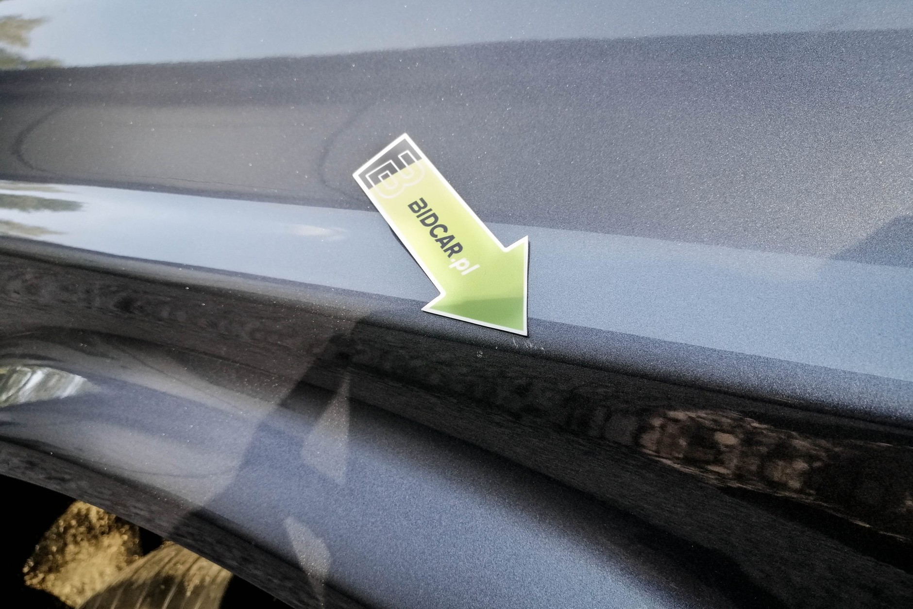 Ford Mustang Adama Klimka na sprzedaż