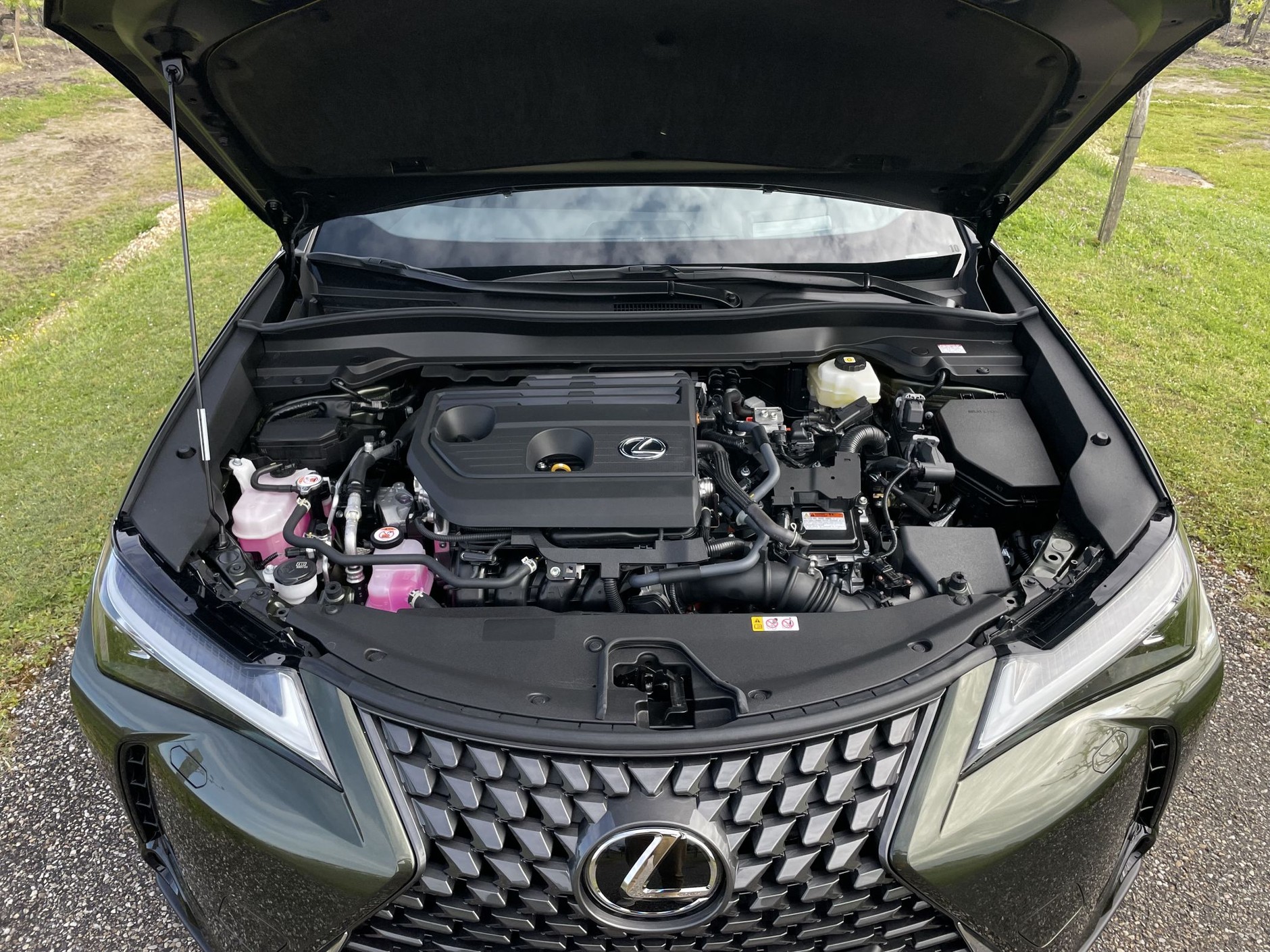Lexus UX 300h