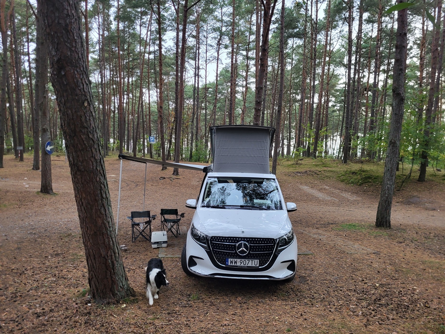 Mercedes-Benz Klasy V Marco Polo