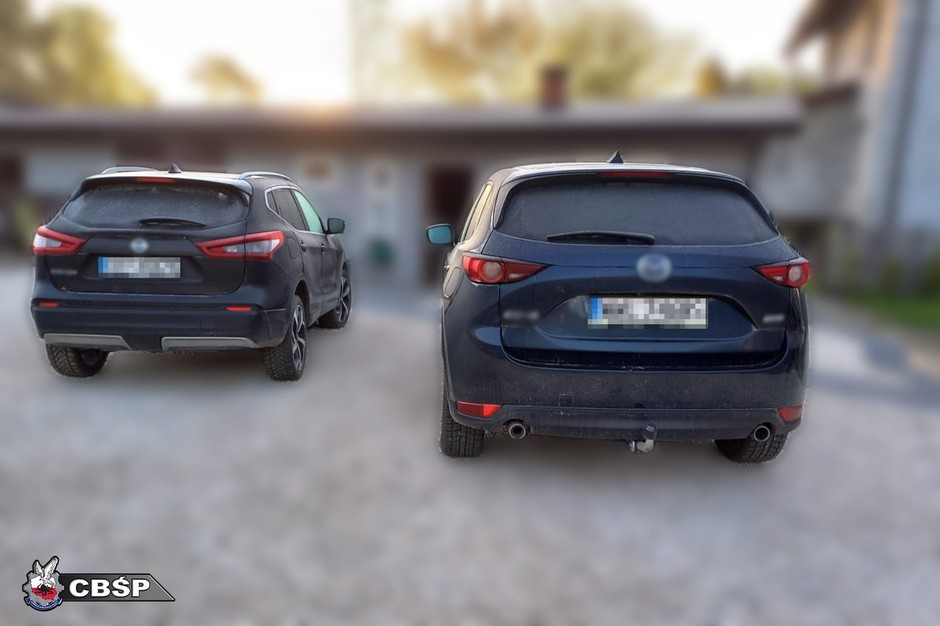 Policjanci rozbili gang złodziei samochodów