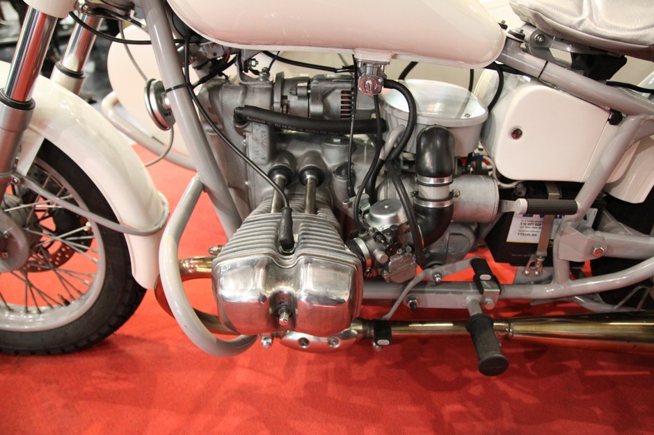 Ural Schneeleopard