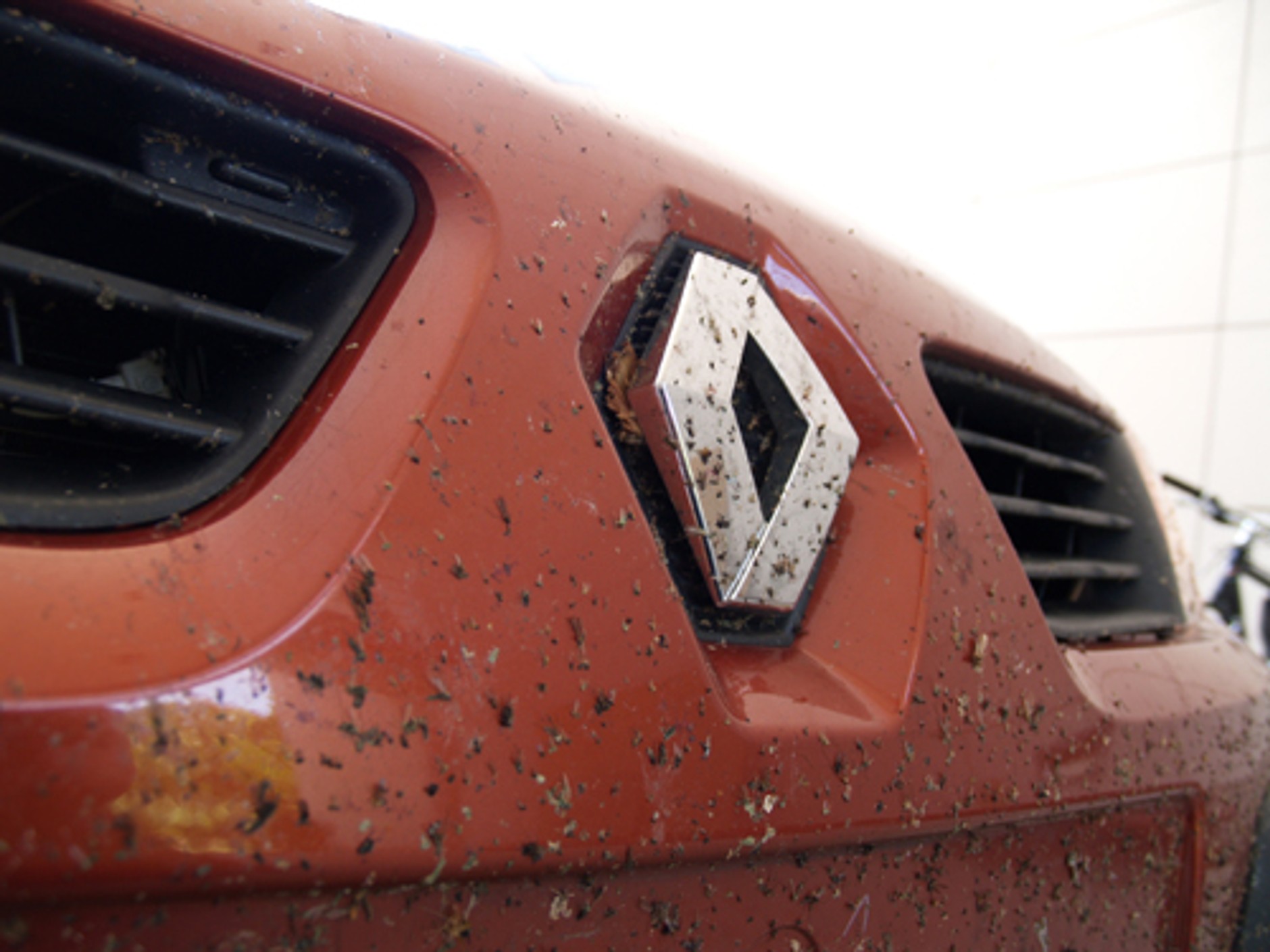 Skuteczne sposoby na usunięcie robaków z szyb auta