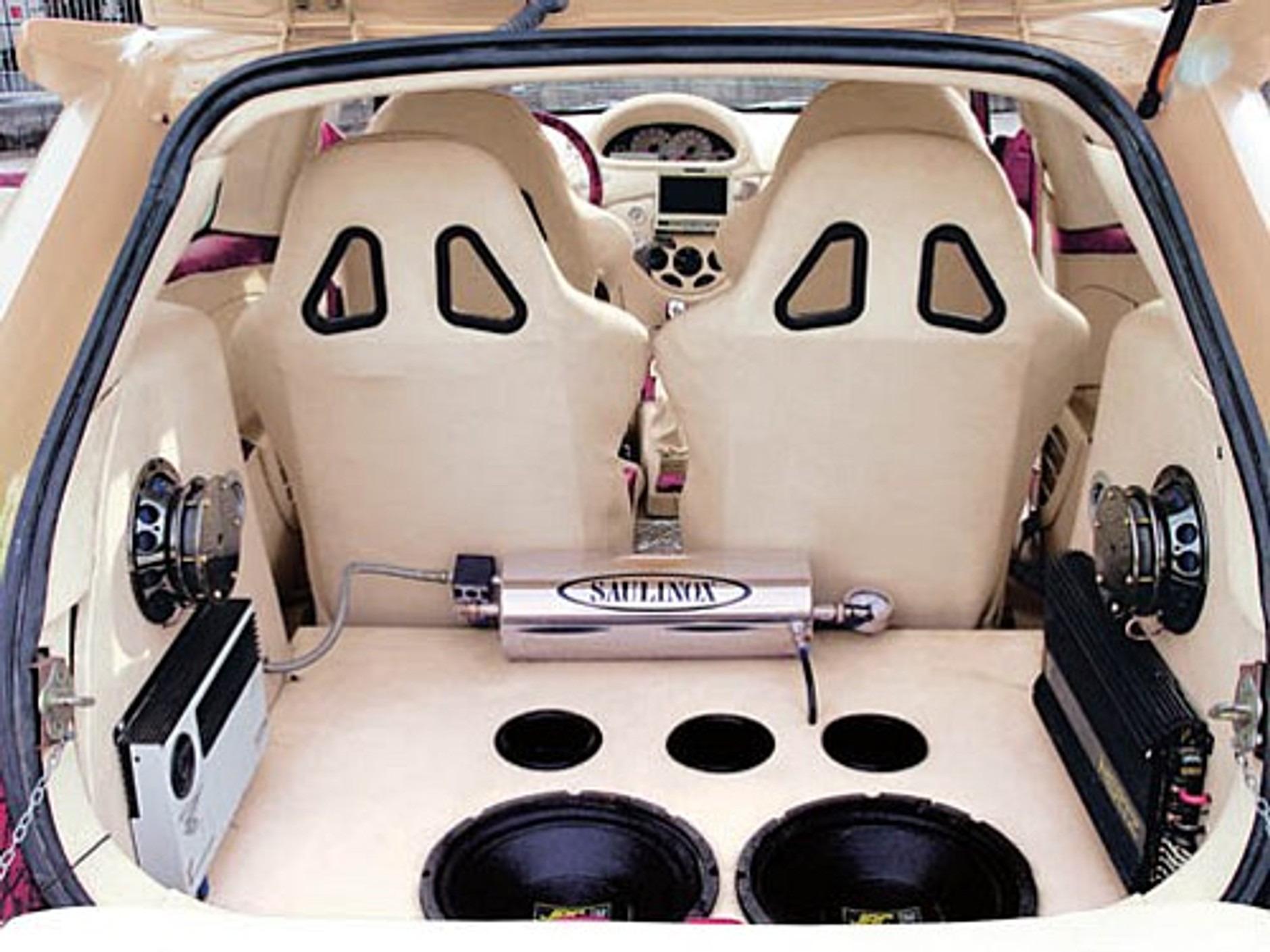 Czystej krwi hiszpan