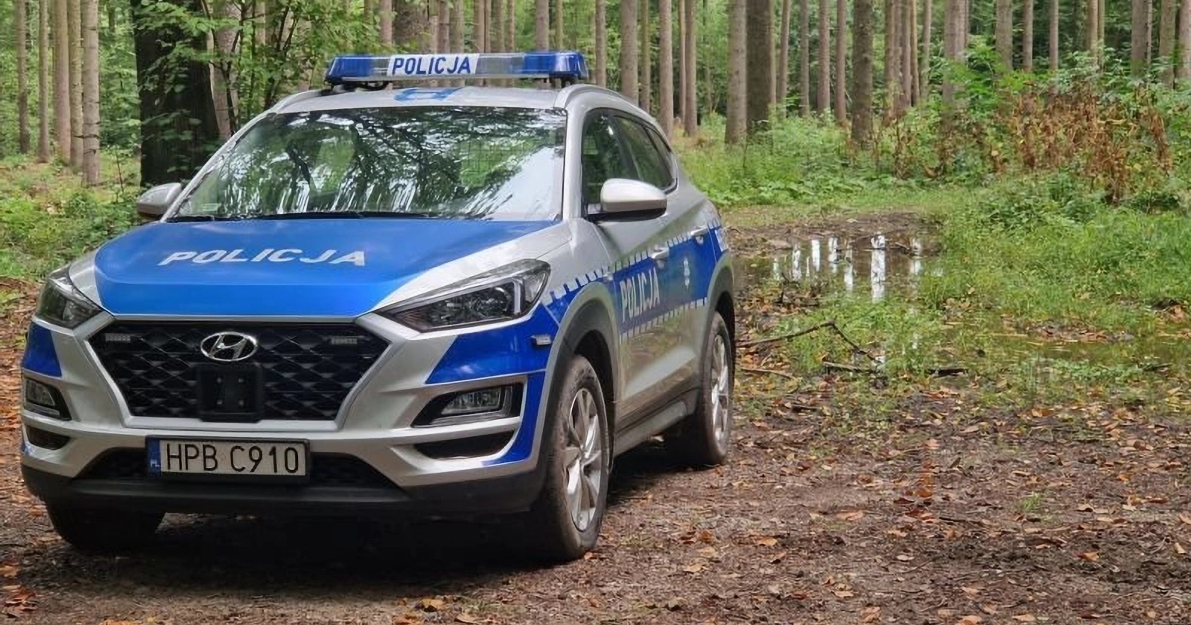 Policja w lesie