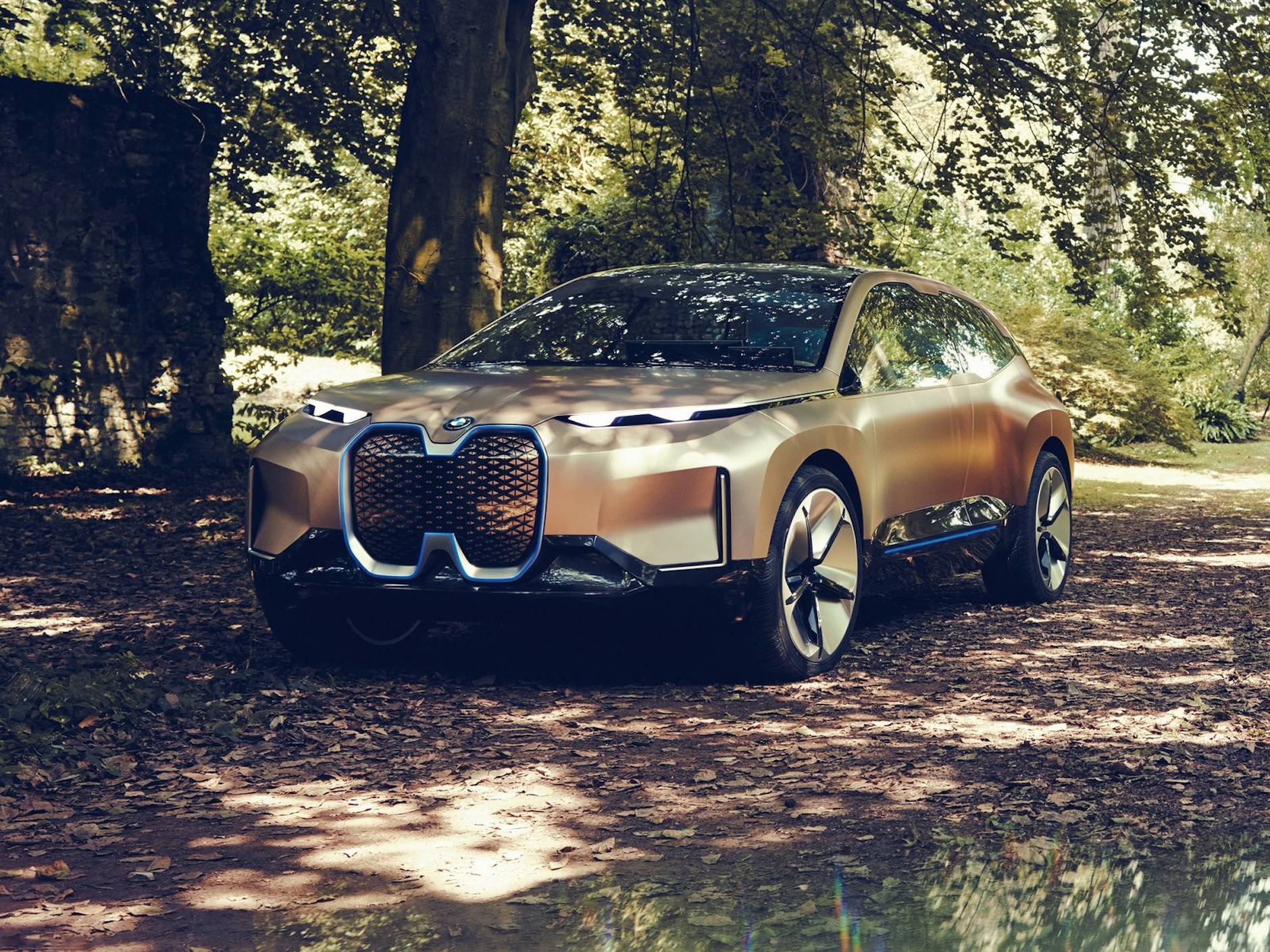 BMW iNEXT