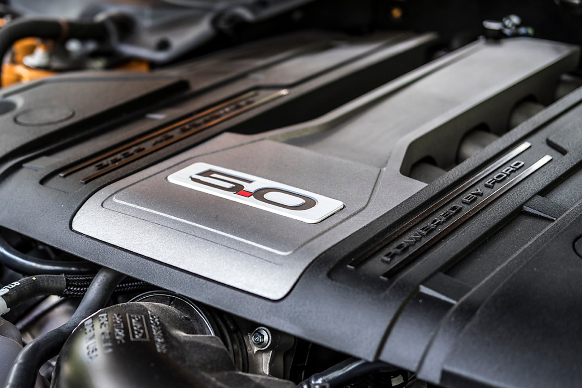 Warsztaty fotograficzne Fujifilm i Ford Polska