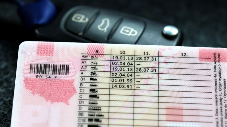 Jak w łatwy sposób sprawdzić ilość punktów karnych? Wyjaśniamy