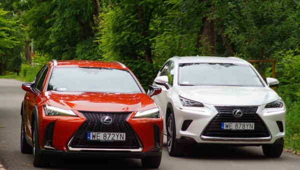 Lexus UX czy Lexus NX – który pasuje do Ciebie lepiej?