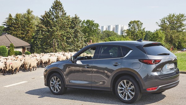 Test 100 tys. km Mazdą CX-5 – czy sprostała naszym oczekiwaniom?