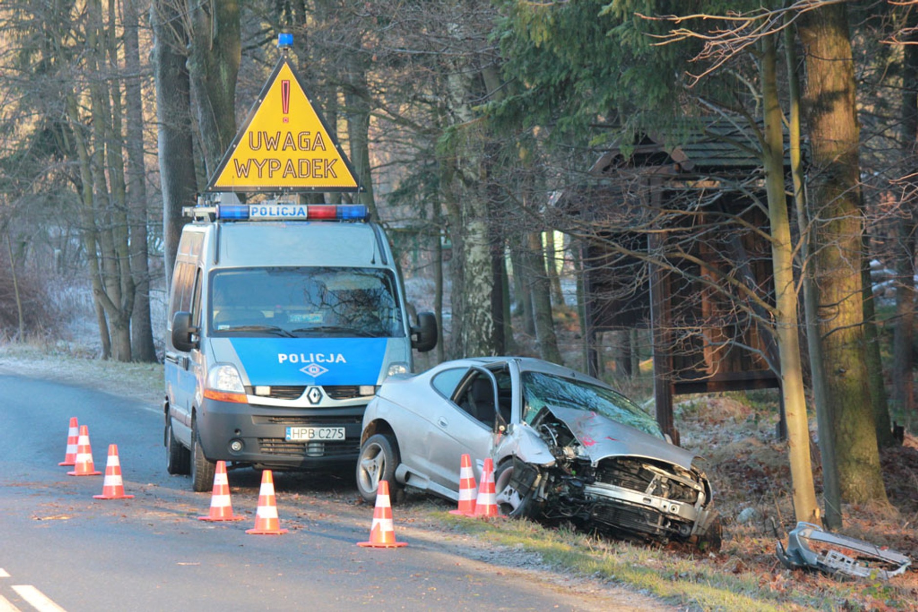 Zwierzę na drodze? Nie warto omijać!