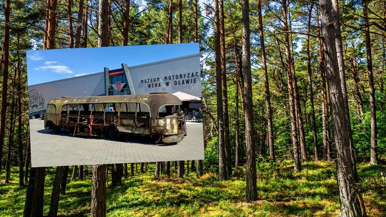 Polski autobus Bałtyk odnaleziony w lesie