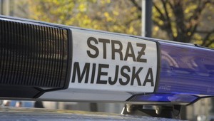 Kierowca elektrycznej hulajnogi utrudnił przejazd karetce na sygnale. Mandat to równowartość trzech nowych e-hulajnóg