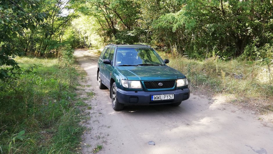 Droga leśna czy polna? 