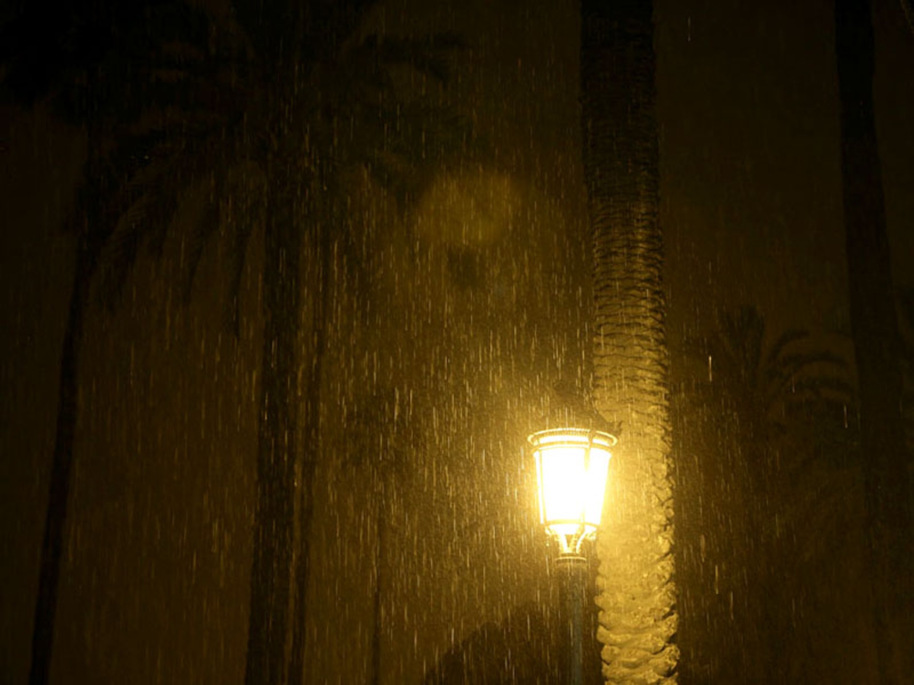 Grand Prix Europy 2008: fotogaleria Jiří Křenek