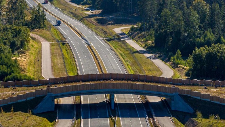 Przejście dla zwierząt nad drogą S61