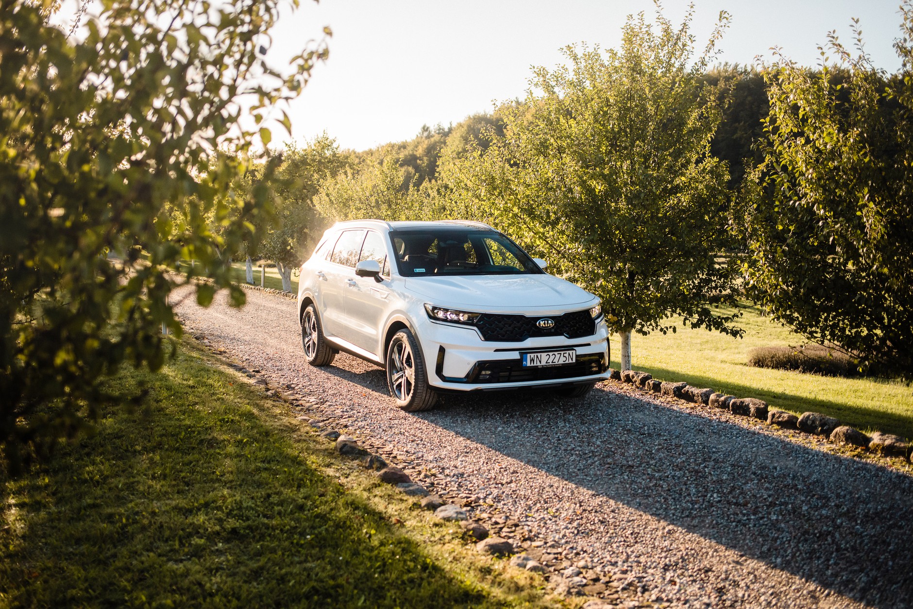 Kia Sorento 1.6 T-GDI HEV Prestige Line