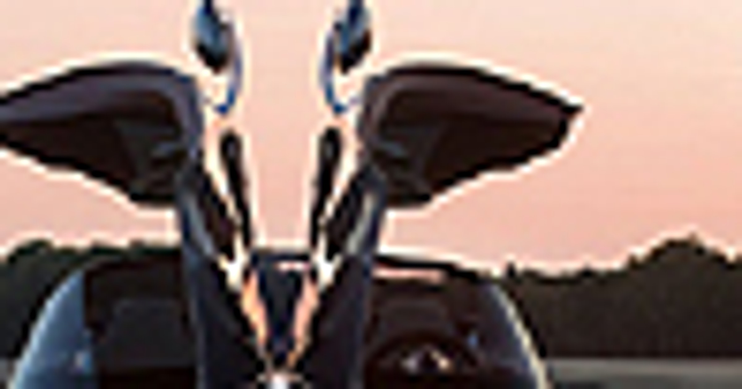 Renault Nepta - Nowy image