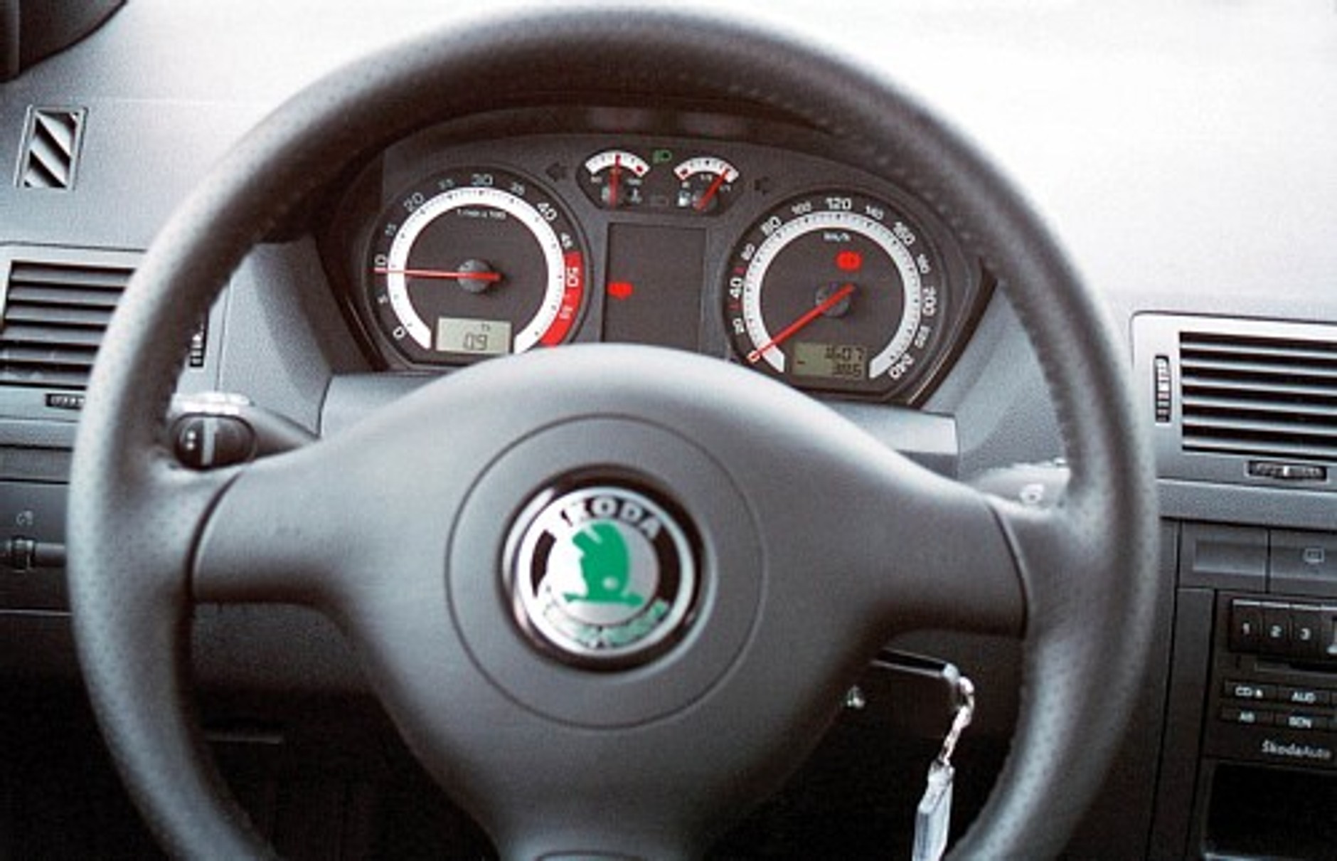 Rasowa w każdym calu